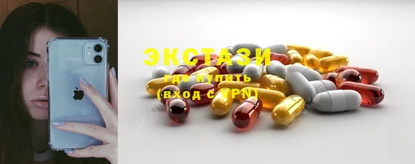 индика Балабаново