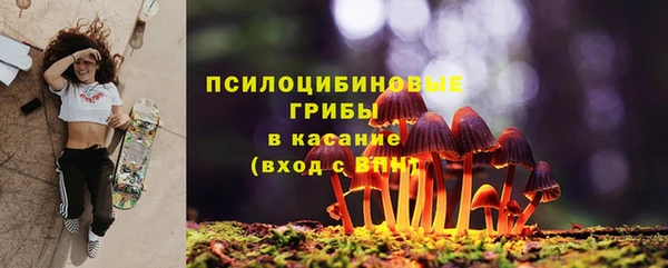 индика Балабаново
